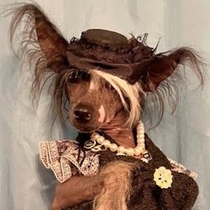 Meet your Posher, River